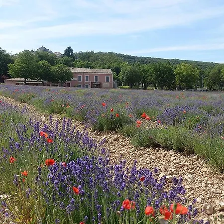 Petit Mas Holiday home Simiane-la-Rotonde