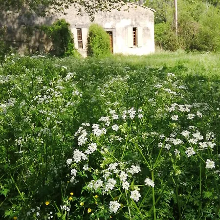 Petit Mas Holiday home *
